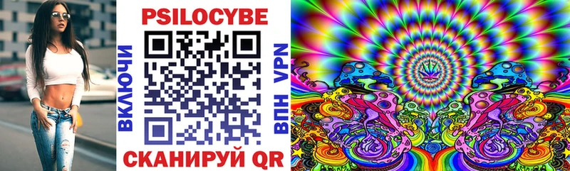 Галлюциногенные грибы GOLDEN TEACHER  сколько стоит  Темников 